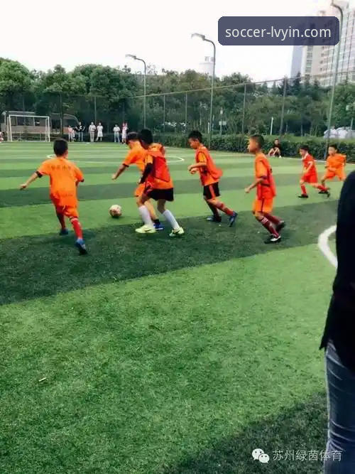 绿茵体育如何注册 老用户手把手教你搞定绿茵体育注册——从入门到畅享2025新版的心得分享